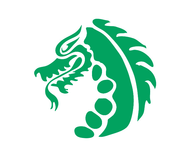 This image has an empty alt attribute; its file name is Dragon-Logo.jpg